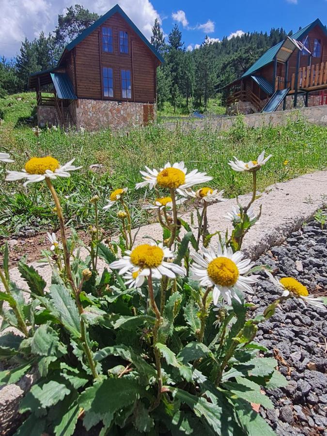 Vikendice Itana Vila Žabljak Exterior foto